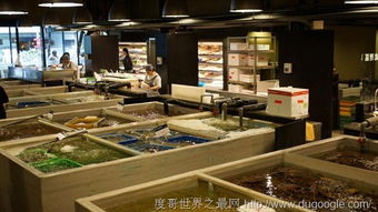 五大全球最不能錯過的著名海鮮市場