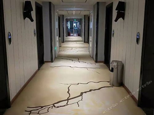 宜家精品酒店電話,宜家精品酒店地址,宜家精品酒店多少錢 360地圖