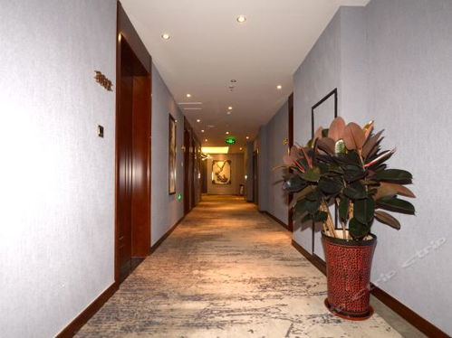 2021 06 04 保定有電商務精品酒店地址,保定有電商務精品酒店電話,保定有電商務精品酒店圖片 360地圖