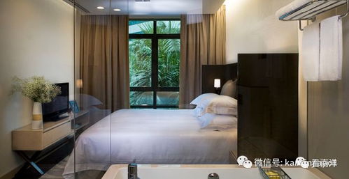 新加坡各檔次的服務式公寓總匯,只要 200就能住上一晚