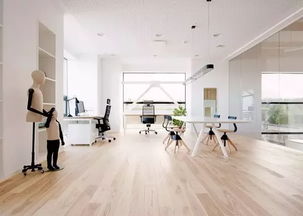 這樣的辦公室 老板,我想加班