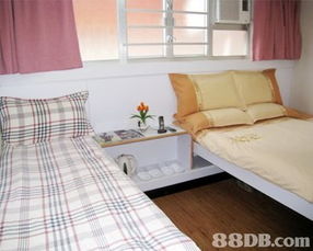 海洋賓館提供套房短租,旅館短租,旅館住宿等服務