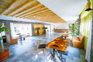 徜徉山東歷史文化長河臺兒莊美圖