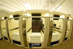 跟著地鐵8號線的腳步去逛吃