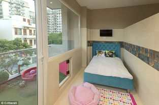 探訪印度首家寵物狗旅館 有水療設(shè)備和游戲室