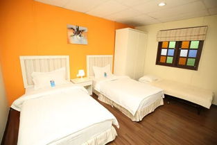 早鳥(niǎo)優(yōu)惠 女神都為之瘋狂的七大海島,下單立減還送神秘好禮