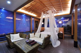 金土逆行上演內心的糾結 12星座8月旅游運勢 上