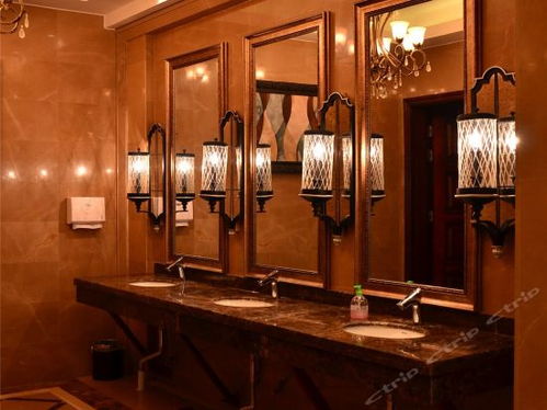 輝縣華隆麗都精品酒店 輝縣共城大道店