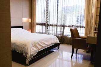 天鵝城堡的夢想家