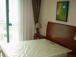 圖 周邊大商圈,生活方便,服務到位,隨看隨住采光好 上海租房